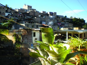 neighborhood