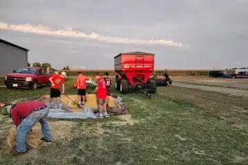 Group of young men working on a farm